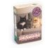 Cover Quartettspiel Katzen von Graskind Isometrische Ansicht