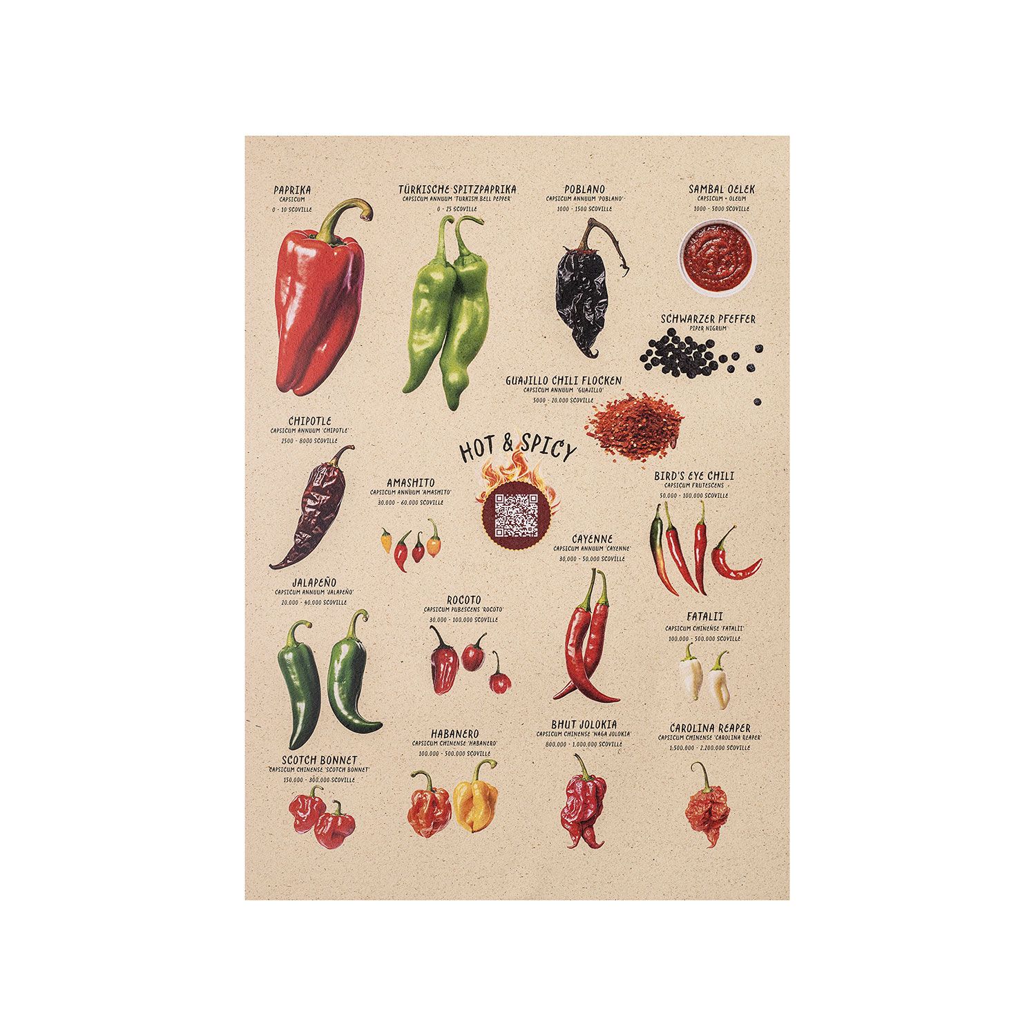 Chiliposter mit QR-Code von Graskind