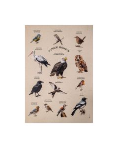 Variation von Vögeln auf einem Poster aus Graspapier