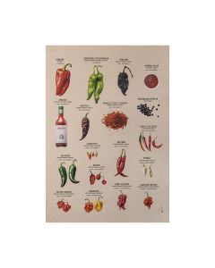 große Auswahl bekannter und beliebter Chilisorten auf einem Poster aus Graspapier