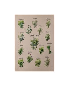 Gartenkräuter auf einem nachhaltigen Poster aus Graspapier
