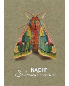 Postkarte "Nachtschwärmer"