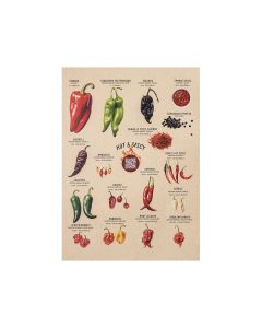 Chili Poster mit Scoville Skala und QR-Codes für scharfe Rezepte