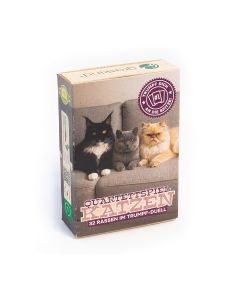 Cover Quartettspiel Katzen von Graskind Isometrische Ansicht